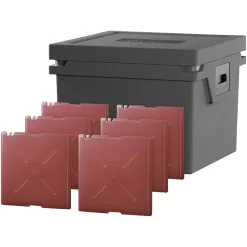 Qool Kühlbox Eco+ L Standard Cool